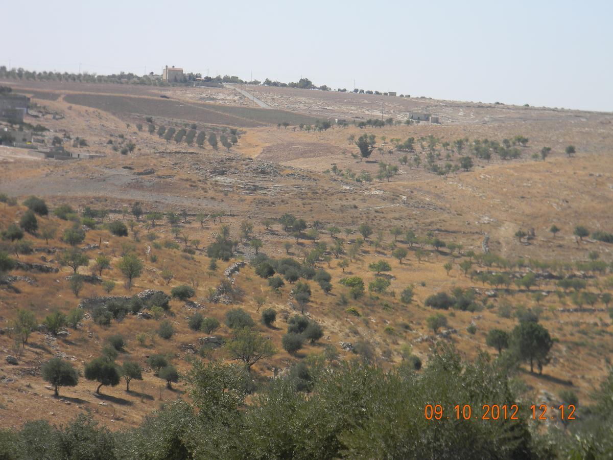 Vila Town Of Mount Nebo Madaba Exteriér fotografie