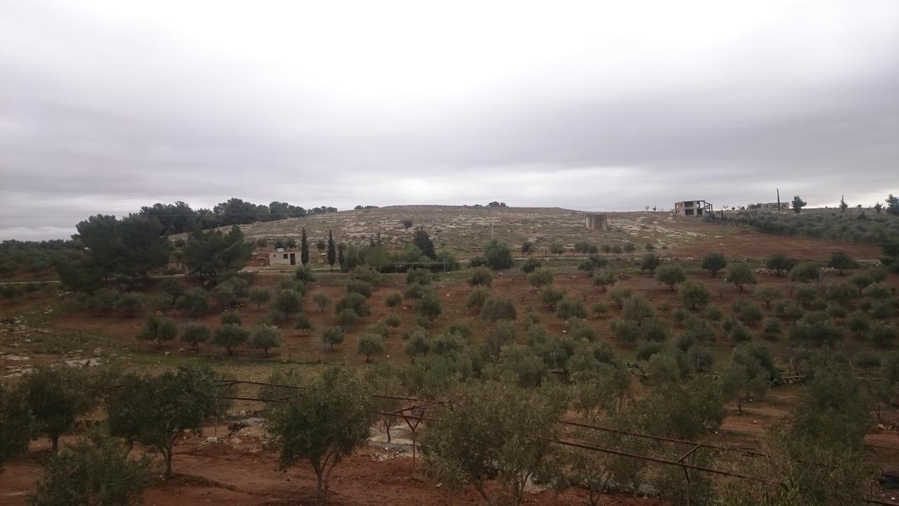 Vila Town Of Mount Nebo Madaba Exteriér fotografie