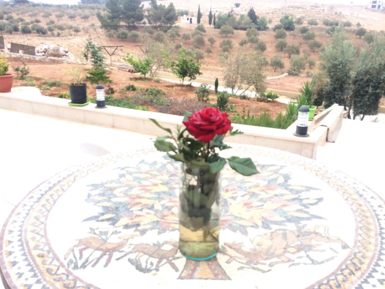 Vila Town Of Mount Nebo Madaba Exteriér fotografie